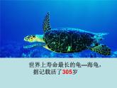 二年级下册数学课件-7.2  万以内数的读写及大小比较 ▏沪教版 (共   28张ppt)