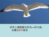 二年级下册数学课件-7.2  万以内数的读写及大小比较 ▏沪教版 (共   28张ppt)