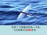 二年级下册数学课件-7.2  万以内数的读写及大小比较 ▏沪教版 (共   28张ppt)