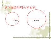 六年級(jí)上冊(cè)數(shù)學(xué)課件-5.4 扇形 北京版 (共24張ppt)