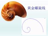 六年級(jí)上冊(cè)數(shù)學(xué)課件-7.1 黃金螺旋線 北京版