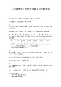 二年级数学下册解决问题专项专题训练  人教版 无答案