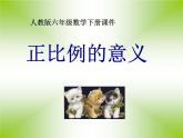 六年级数学下册课件  正比例的意义  人教版   18张