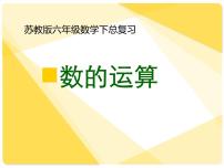 小学数学苏教版六年级下册1. 数与代数复习课件ppt