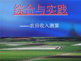 小學數(shù)學西師大版六年級下 4.4綜合與實踐 農(nóng)田收入測算 課件
