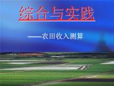 小学数学西师大版六年级下 4.4综合与实践 农田收入测算 课件