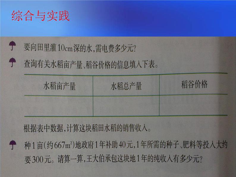 小学数学西师大版六年级下 4.4综合与实践 农田收入测算 课件第3页