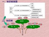 西师大版小学数学五下 7.3总复习 长方体和正方体 课件