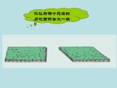 小学数学青岛版五四制四年级下册 2.1平行四边形的面积 课件