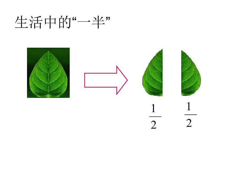 冀教版小学数学三下 8.1.1认识几分之一 课件05