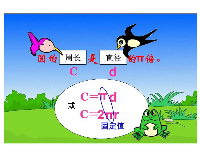 圆的周长和面积复习 课件第3页