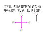 总复习  确定物体的位置 课件