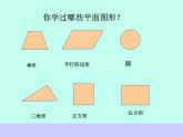 总复习  平面图形的周长和面积 课件