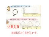 总复习  平面图形的周长和面积 课件