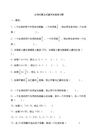 2021学年比例的意义精练