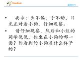 小学数学 冀教课标版 二年级上册 从不同位置观察物体 课件