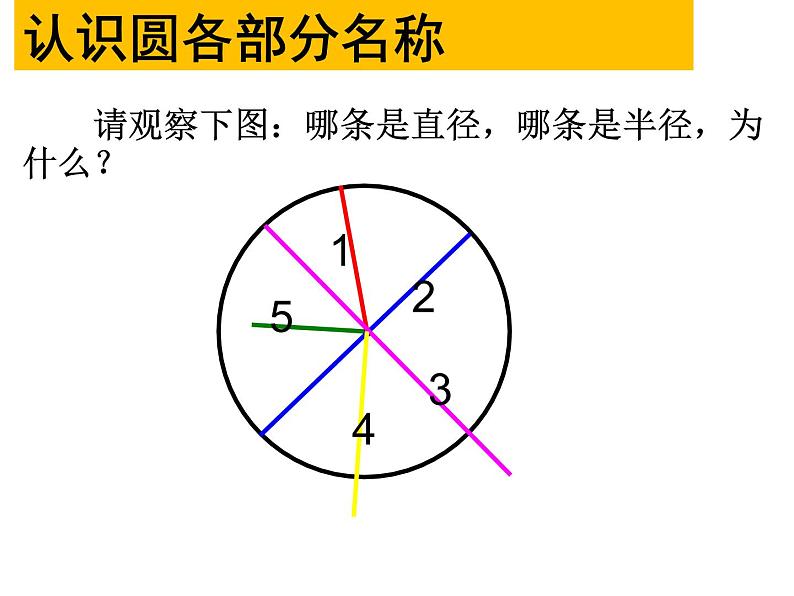 小学数学 青岛课标版 六年级上册 一（圆的认识）圆的认识 课件第8页