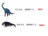 2.2认识吨 课件
