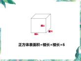 -北师大  五年级下册  整理与复习 图形与几何 复习优质课件