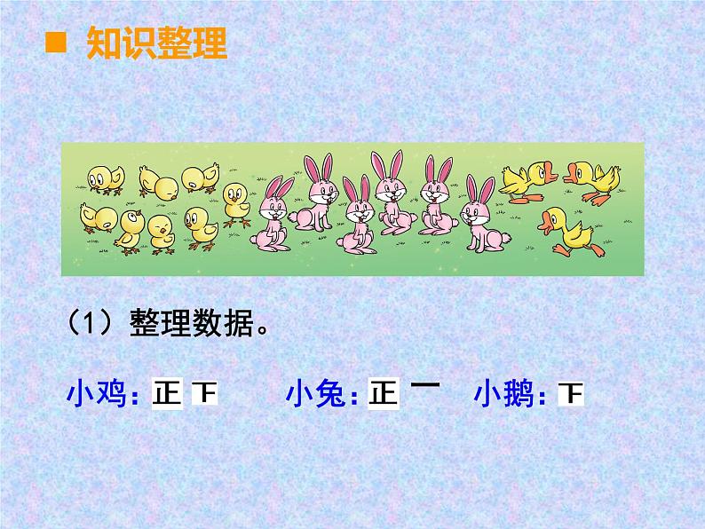 西师大版小学数学二下 8.5收集与整理 课件04