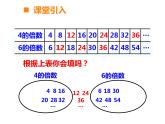 西师大版小学数学五下 1.4公因数、公倍数 课件