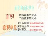小学 数学 苏教版  三年级下册练习八课件PPT