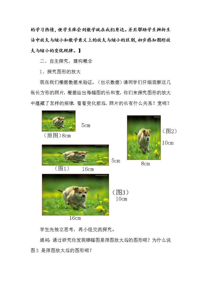 六年级数学下册教案-4 图形的放大与缩小2-苏教版第3页
