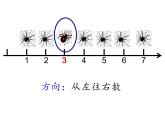青岛版五下数学 4.1用数对确定位置 课件