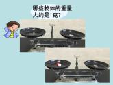 二年级下册数学课件-5.2  克、千克的认识与计算  ▏沪教版  (5)