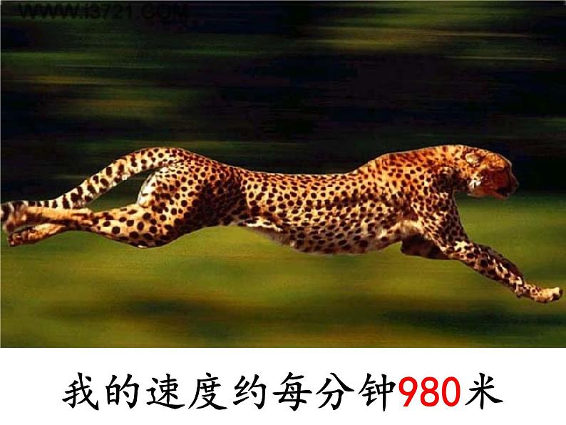 西师大版小学数学二下 8.1总复习 万以内数的认识及三位数加减法 课件第1页