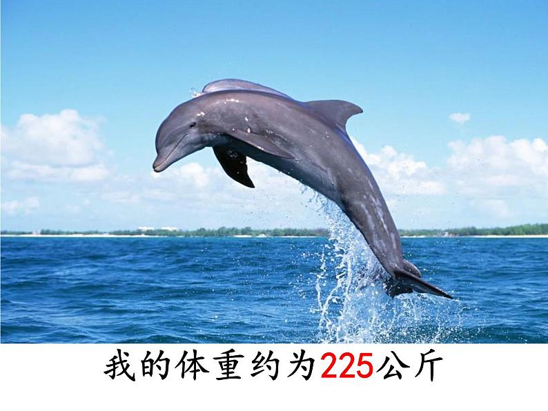 西师大版小学数学二下 8.1总复习 万以内数的认识及三位数加减法 课件第2页