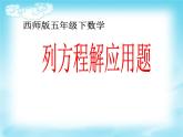 西师大版小学数学五下 5.5问题解决 课件