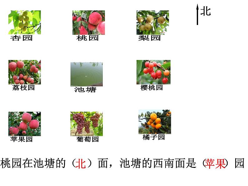 冀教版小学数学三下 3.2认识东北、西北、东南、西南 课件第5页