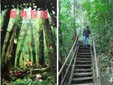 北師大版  五年級(jí)下冊(cè)  《確定位置（一）》公開(kāi)課課件