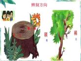 北師大版  五年級(jí)下冊(cè)  《確定位置（一）》公開(kāi)課課件