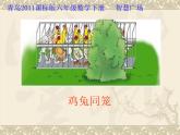 青岛版六下数学 智慧广场--鸡兔同笼问题 课件