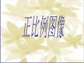 六年级下册数学课件－6.2 正比例图像 ｜苏教版