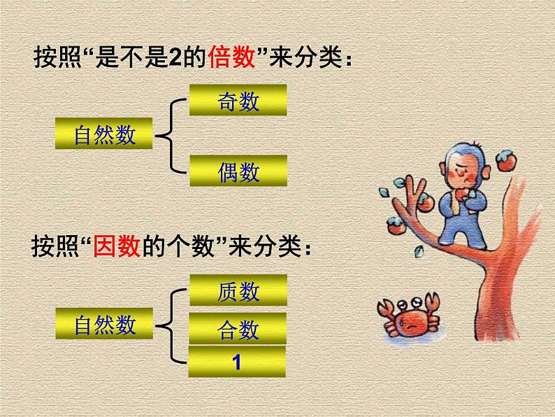 西师大版小学数学五下 1.3合数、质数 课件04