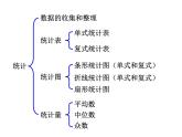 小学数学西师大版六年级下 总复习 统计与概率（1） 课件
