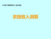 小学数学西师大版六年级下册你知道吗 统计的产生和发展教案配套课件ppt