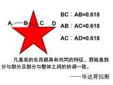 六年级下册数学课件 3.1 黄金比 北京版 （20张PPT）