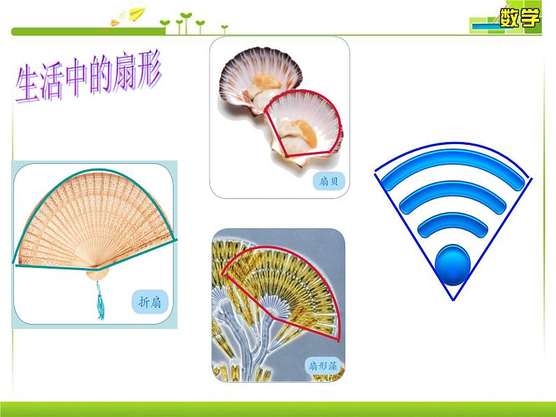 苏教版五下数学 6.3扇形的认识 课件第4页