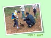 三年级下册数学课件－11.4总复习 年、月、日  ｜北京版（2014秋）