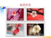 7.1邮票的张数 课件