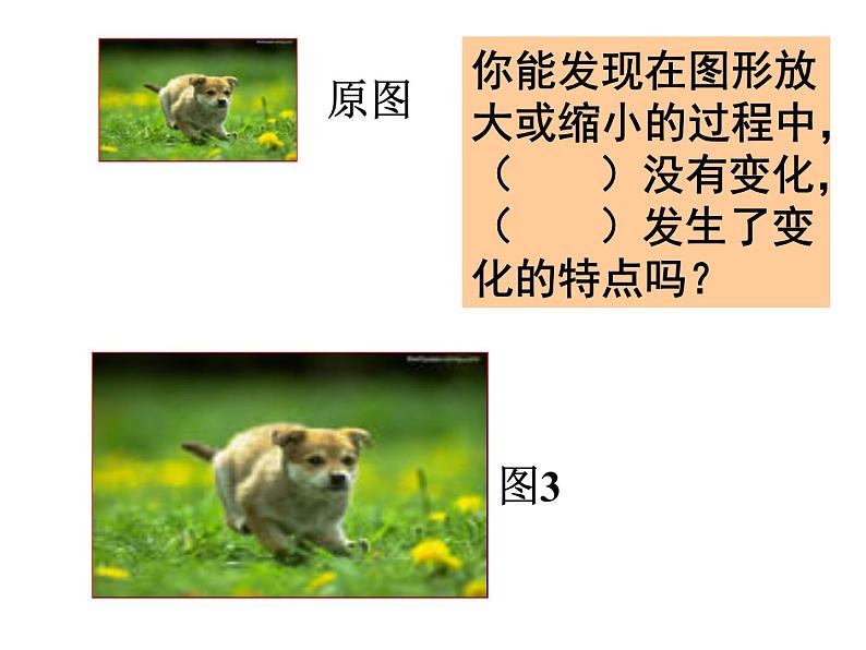 4.7图形的放大与缩小 课件第6页