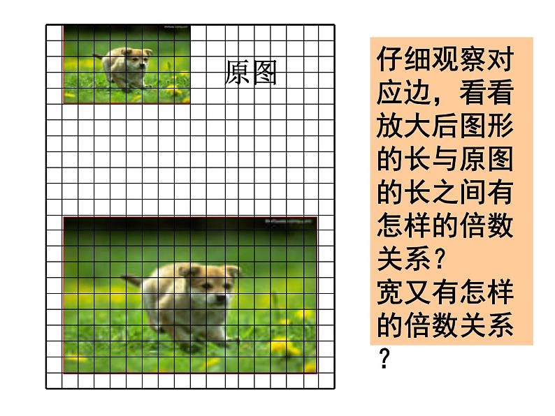 4.7图形的放大与缩小 课件第7页