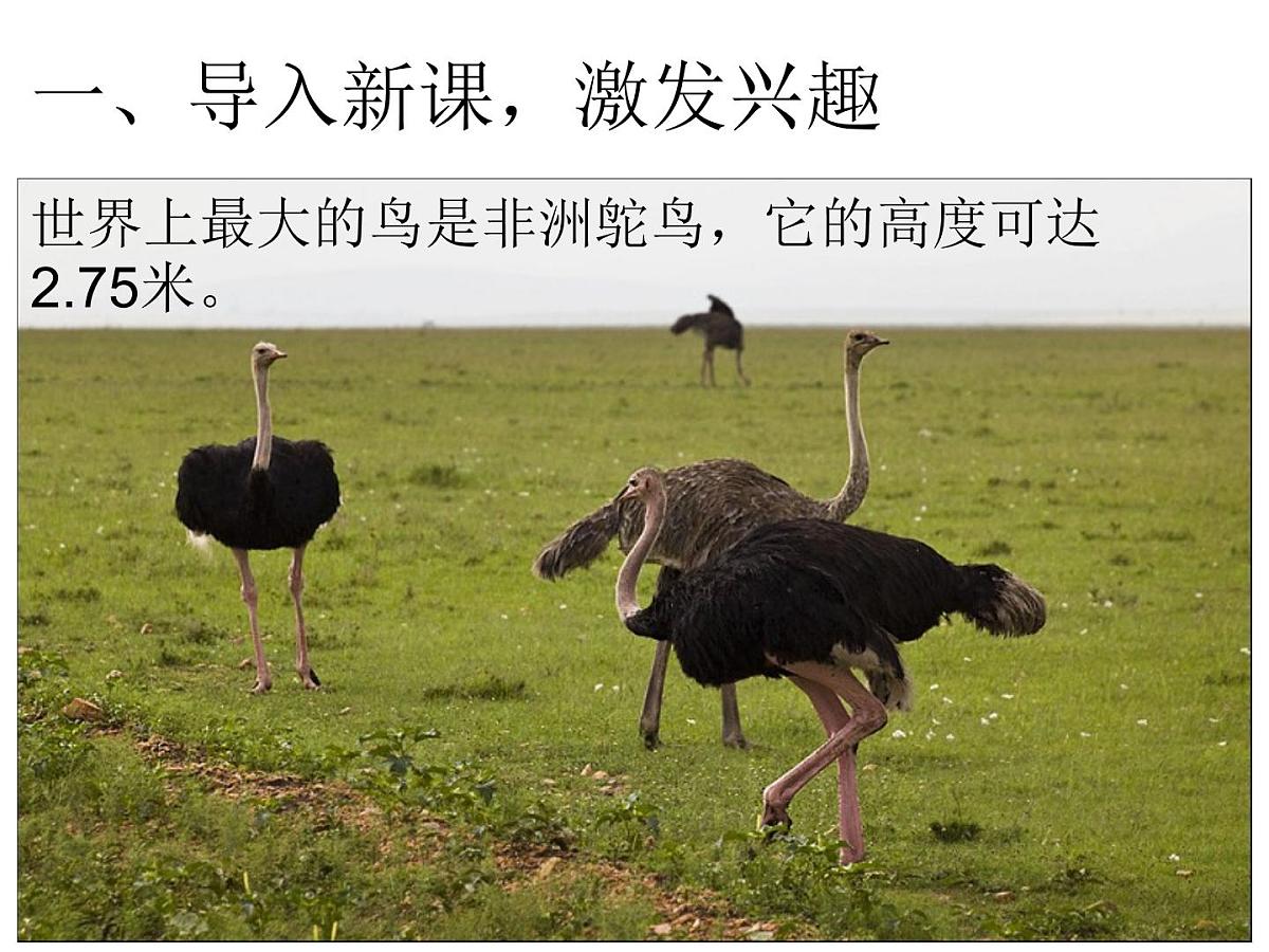 三年级下册数学课件- 单元综合复习 6 小数的初步认识 单元复习｜冀教版第4页