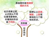 6觀察物體   課件