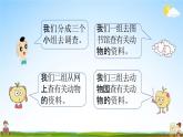 青岛版六年制数学二年级下册《3-3 奇妙的动物世界》课堂教学课件PPT