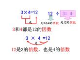 3.1公因数和最大公因数  课件